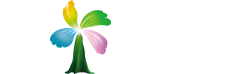 海口乌洋尔网络科技有限公司